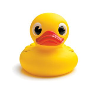 article image -